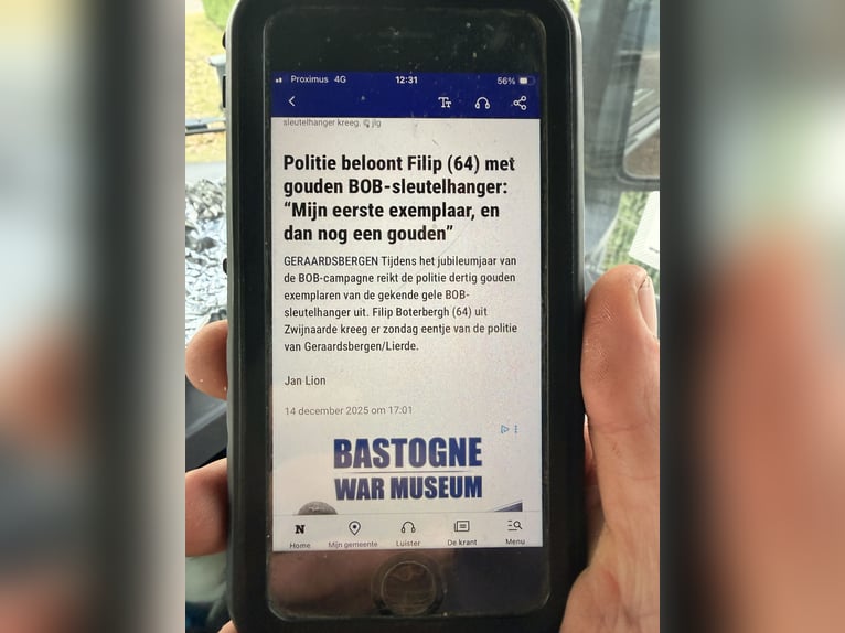 Volbloed Arabier Ruin 8 Jaar 155 cm Bruin in Asper