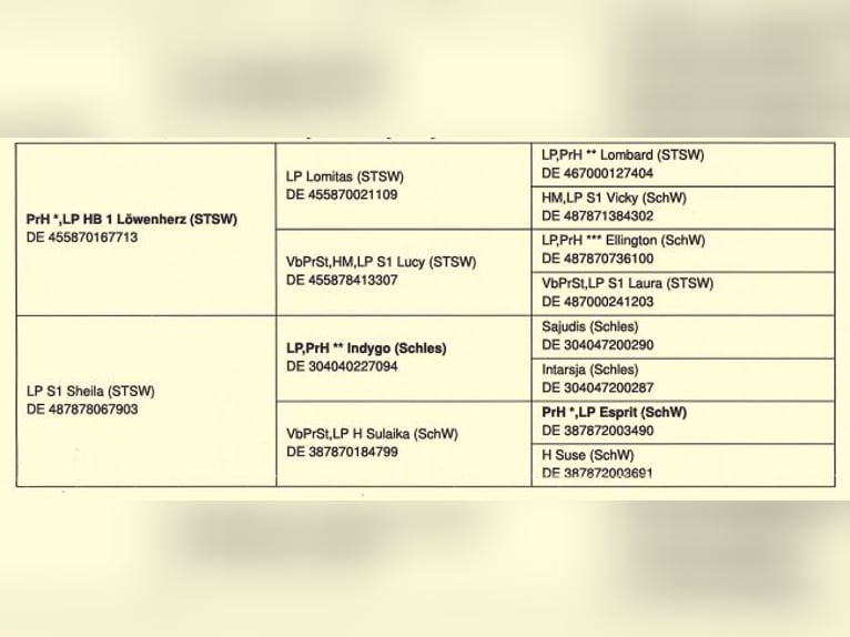 Warmblood pesado Yegua 8 años 168 cm Castaño in Lo&#xDF;burg