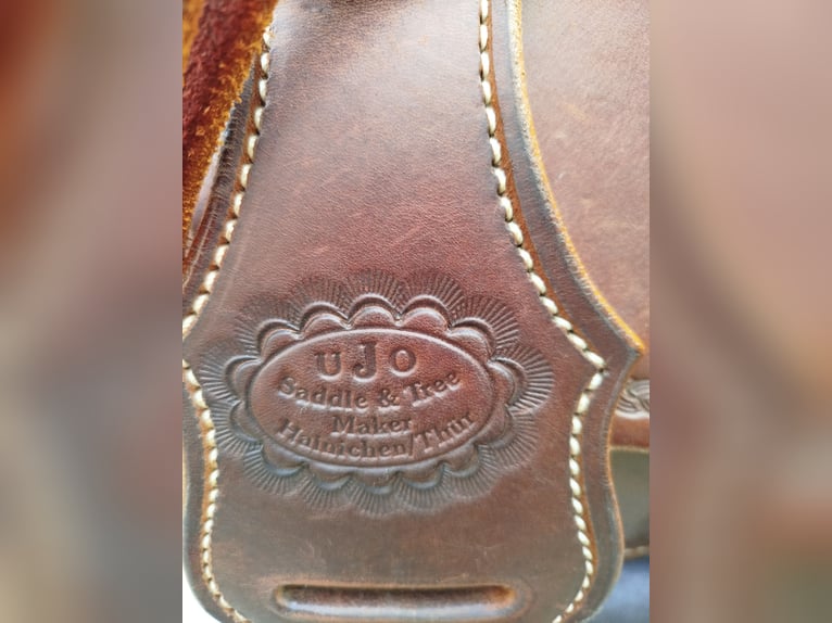 Weitere Ponys/Kleinpferde Mix Stute 13 Jahre 142 cm Schwarzbrauner in GefellGefell