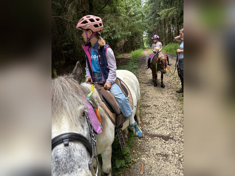 Weitere Ponys/Kleinpferde Mix Wallach 10 Jahre 120 cm Tigerschecke in Schn&#xFC;rpflingen