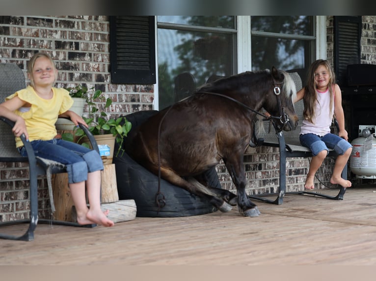Weitere Ponys/Kleinpferde Wallach 10 Jahre 89 cm Palomino in Sedalia, MO