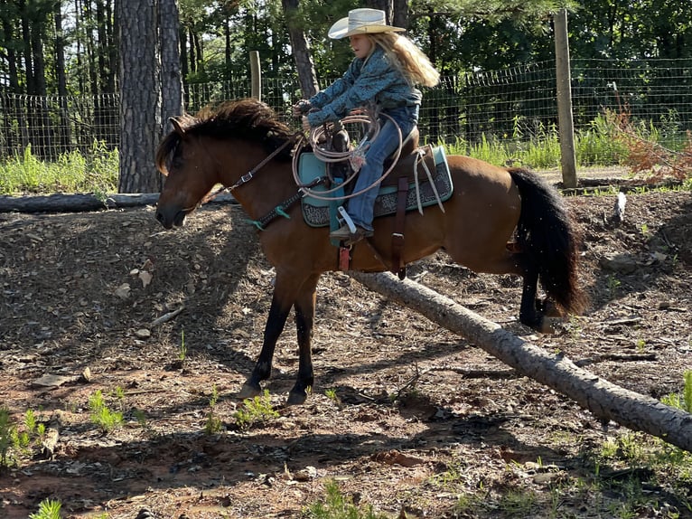 Weitere Ponys/Kleinpferde Wallach 13 Jahre 127 cm Rotbrauner in Wilburton, OK