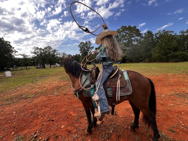 Weitere Ponys/Kleinpferde Wallach 13 Jahre 127 cm Rotbrauner in Wilburton, OK