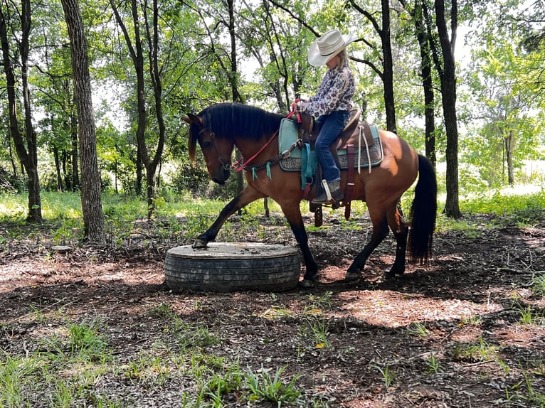 Weitere Ponys/Kleinpferde Wallach 13 Jahre 127 cm Rotbrauner in Wilburton, OK