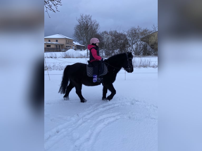 Weitere Ponys/Kleinpferde Mix Wallach 16 Jahre 125 cm Rappe in Weigenheim