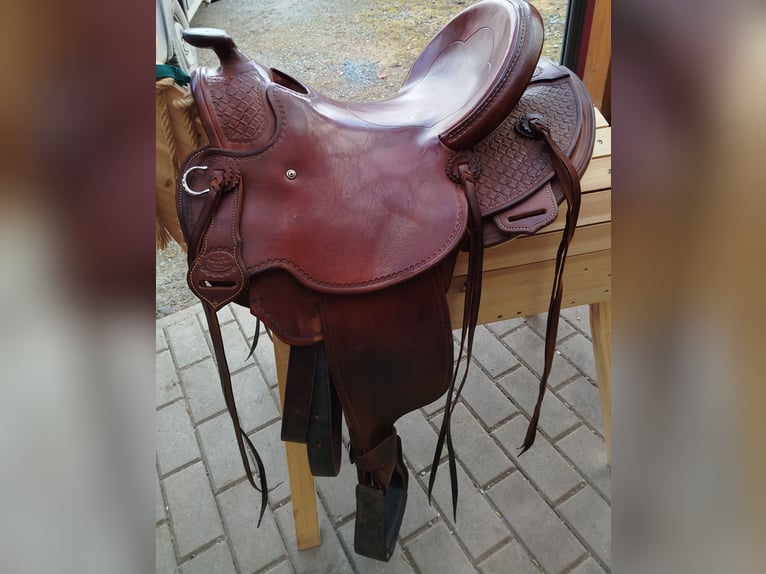 Weitere Ponys/Kleinpferde Mix Wallach 17 Jahre 142 cm Schecke in Gefell