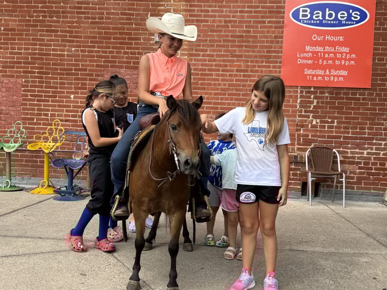 Weitere Ponys/Kleinpferde Wallach 8 Jahre 97 cm Rotbrauner in Cleburne