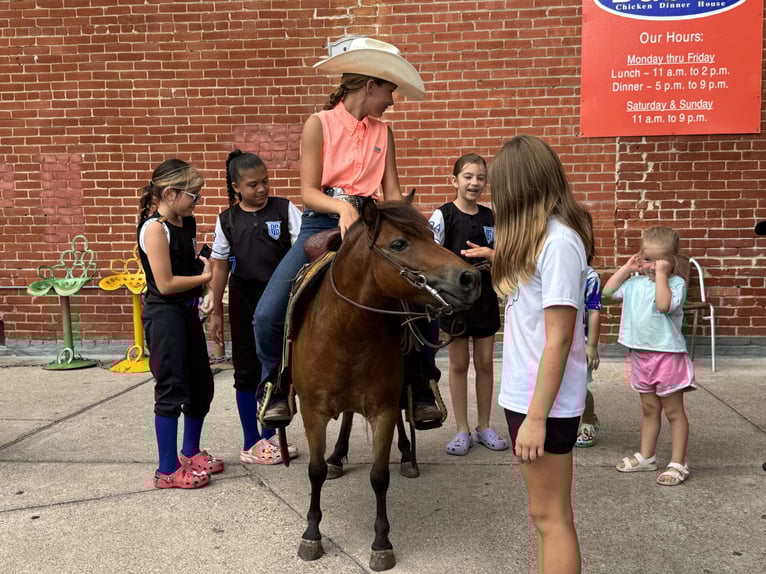 Weitere Ponys/Kleinpferde Wallach 8 Jahre 97 cm Rotbrauner in Cleburne