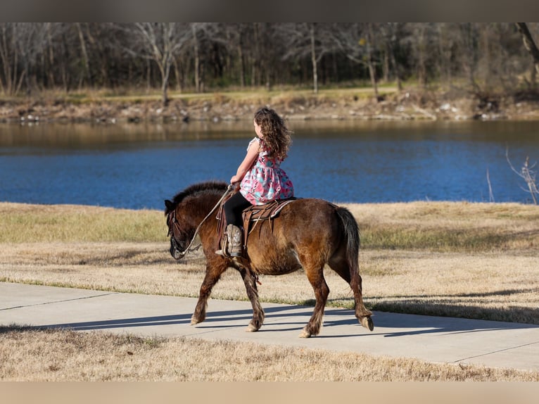 Weitere Ponys/Kleinpferde Wallach 9 Jahre 107 cm Rotbrauner in Forney