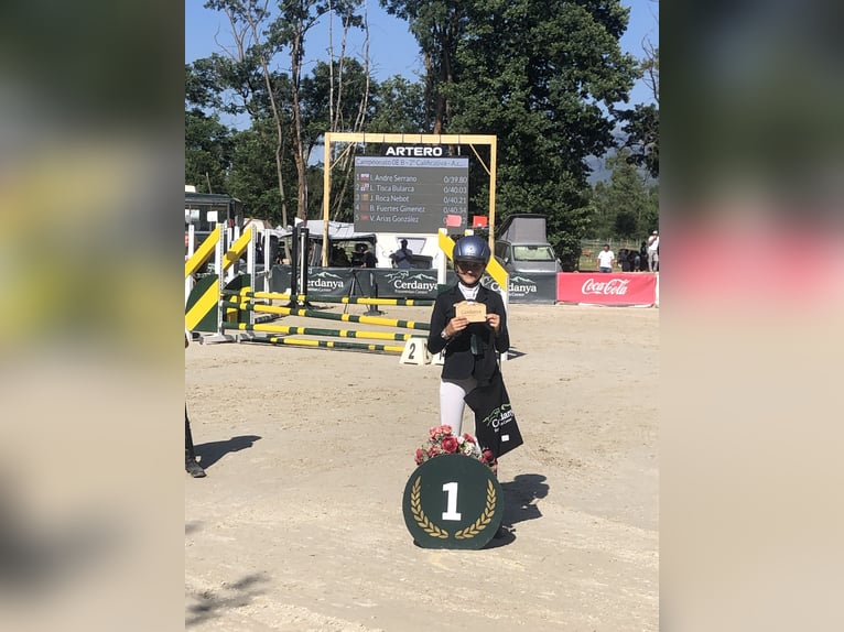 Weitere Ponys/Kleinpferde Wallach 9 Jahre 129 cm Fuchs in Orejo
