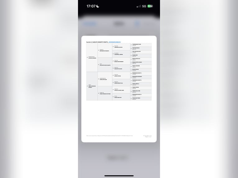 Welsh-A Giumenta 5 Anni 119 cm Sauro in Hengelo (Gld)