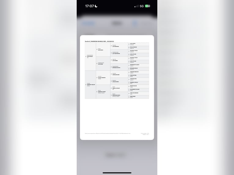 Welsh-A Merrie 3 Jaar 118 cm Rood schimmel in Hengelo (Gld)
