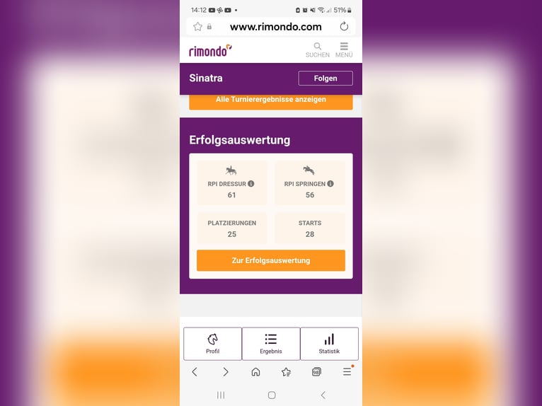 Welsh A (Mountain Pony) Gelding 8 years 12,1 hh Red Dun in Burgdorf