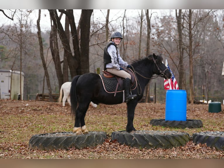 Welsh-D Croisé Hongre 12 Ans 117 cm Noir in Clover