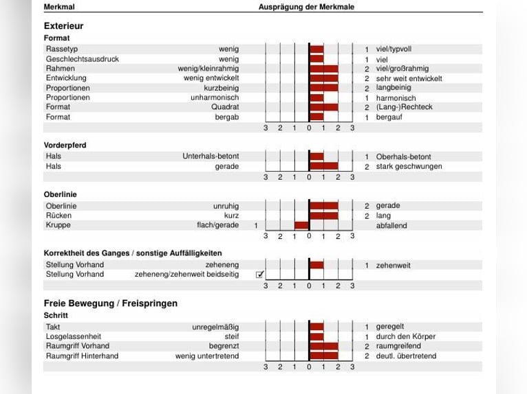 Westfaal Hengst 1 Jaar 172 cm Donkere-vos in Lippstadt