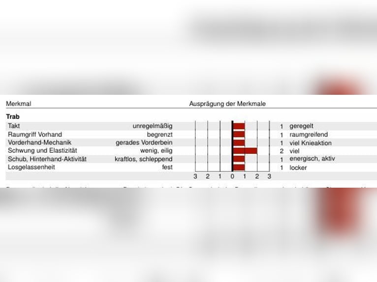 Westfaal Hengst 1 Jaar 172 cm Donkere-vos in Lippstadt