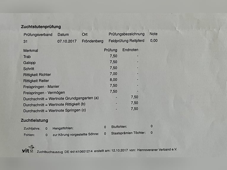 Westfaal Merrie 12 Jaar 170 cm Bruin in Lippstadt