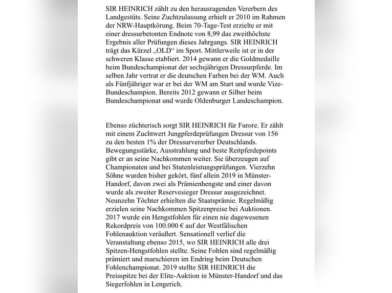 Westfale Stute Fohlen (03/2025) Fuchs in Ascheberg