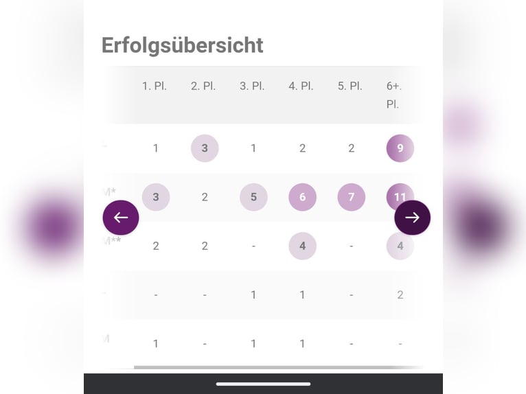Westfaliano Caballo castrado 10 años 176 cm Morcillo in Mainburg