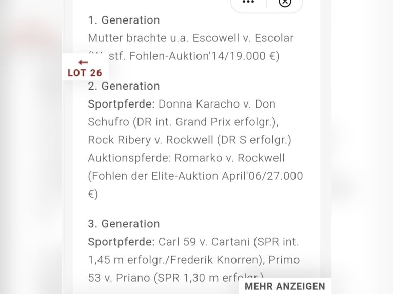 Westfaliano Castrone 2 Anni 180 cm Baio in Frankenberg (Eder)