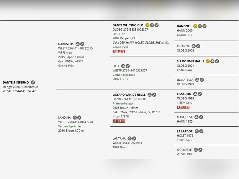 Westfaliano Semental Potro (03/2026) Castaño oscuro in Remscheid
