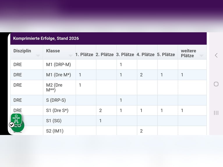 Westfaliano Yegua 13 años 166 cm Tordo picazo in Langen