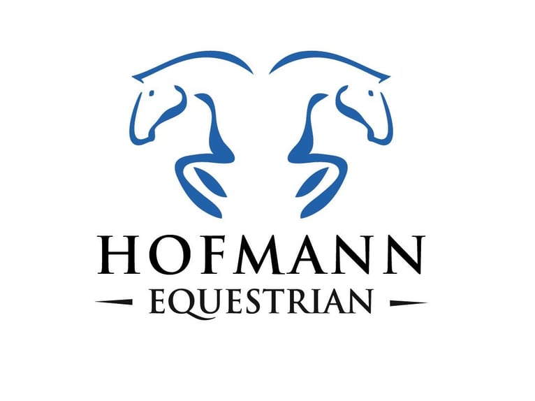 Westphalian Gelding 8 years 16.3 hh Grey in Nettetal