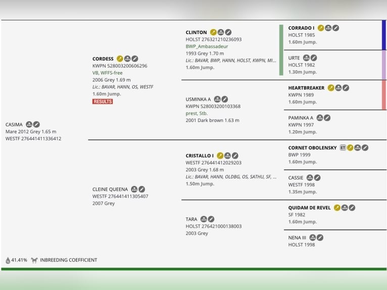 Westphalian Mare 14 years 16,1 hh Grey in Wyszyny