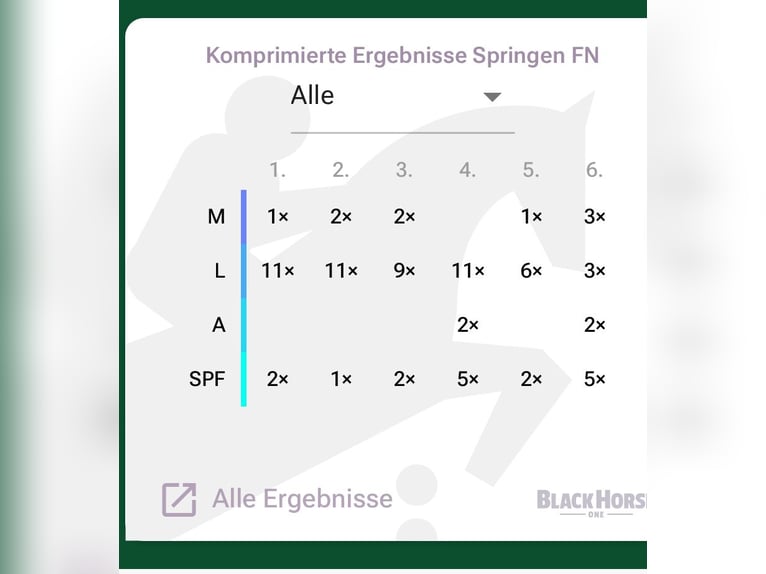 Westphalien Hongre 10 Ans 169 cm Bai brun in Donnersdorf