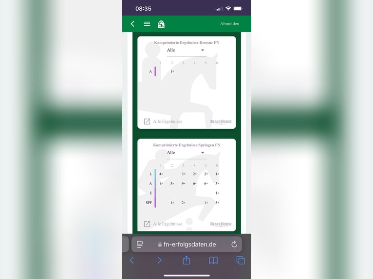 Wuerttemberg Gelding 14 years 16,2 hh Brown in Mainbernheim