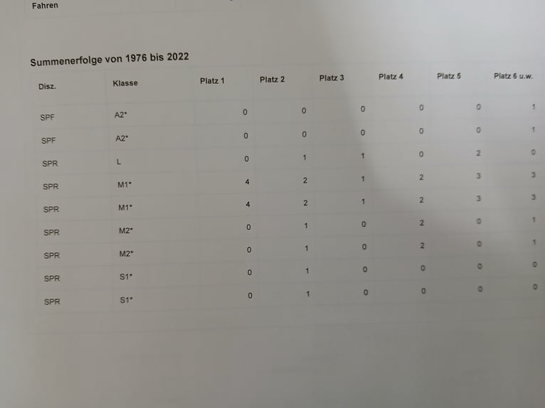 Zangersheide Merrie 16 Jaar 168 cm Bruin in Ötigheim