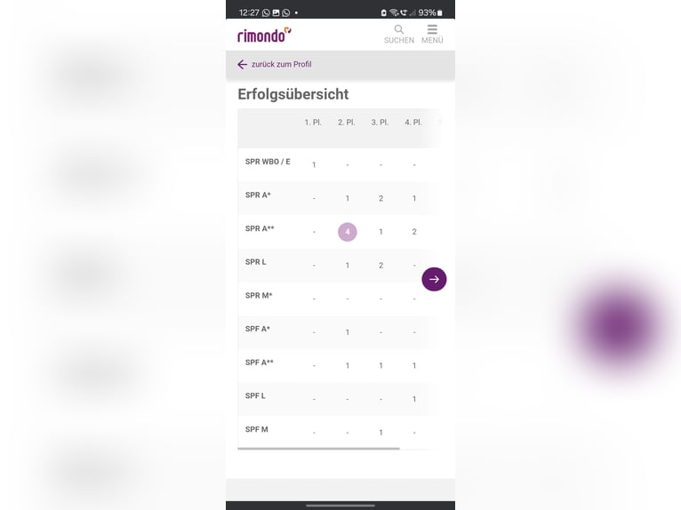 Zangersheide Ruin 13 Jaar 172 cm Bruin in Hahnbach