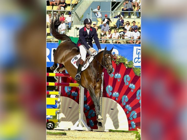 Zangersheider Inconnu Embryon  in GROTE-BROGEL