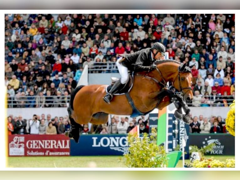 Zangersheider Inconnu Embryon  in GROTE-BROGEL