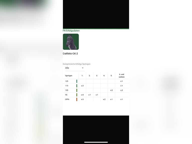 Zangersheider Hongre 10 Ans 183 cm Gris in Leinburg