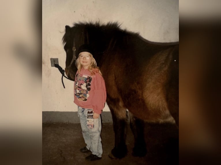 Zuverlässige Reitbeteiligung sucht Freizeitpferd/ RB gesucht