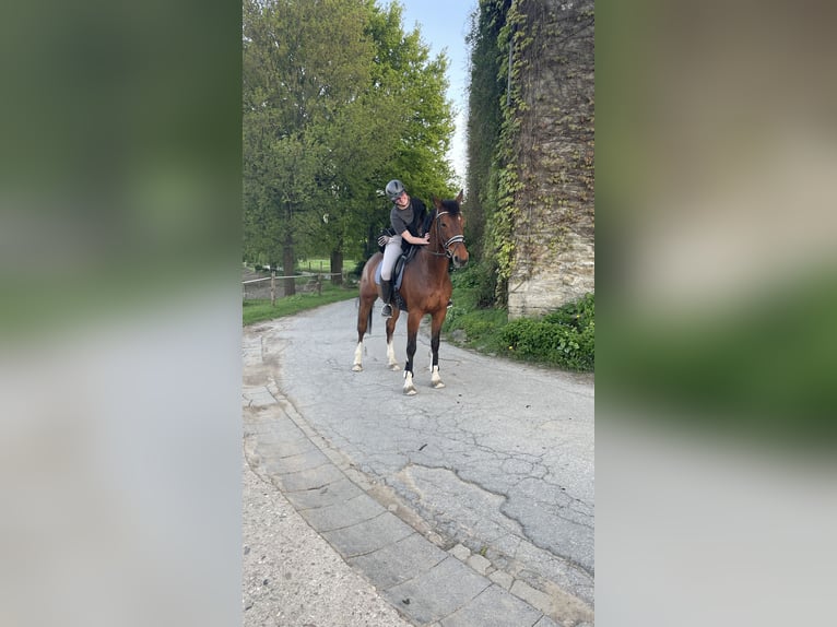 Zuverlässige Reiterin sucht Partner