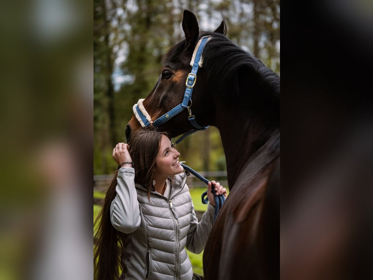 Zuverlässige Reiterin sucht Partner