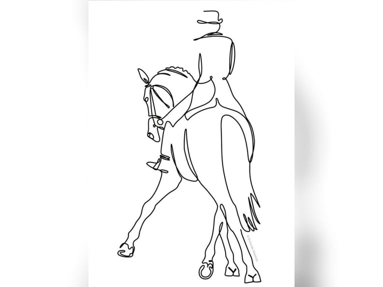 Zuverlässige Reiterin sucht Pferd oder Pony