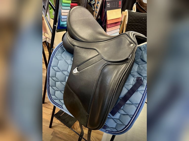 Zwaar warmbloed Ruin 11 Jaar 163 cm Appelschimmel in Frickingen