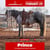 Paardadvertentie