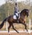 Annonce cheval