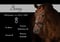 Annuncio cavallo