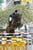 Horse ad