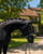 Paardadvertentie