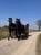 Annuncio cavallo