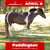 Annuncio cavallo
