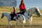 Horse ad