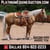 Horse ad