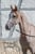 Horse ad